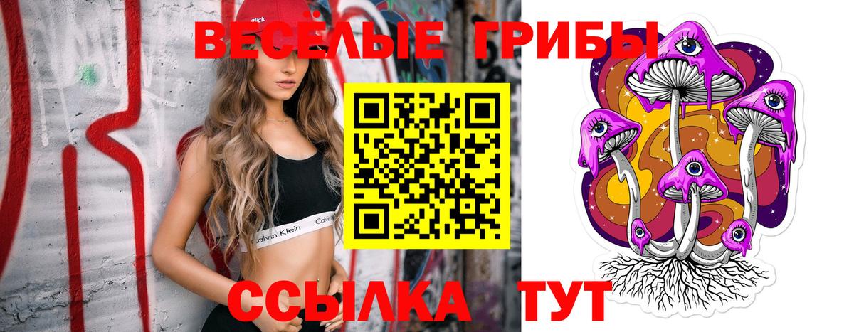 Псилоцибиновые грибы Psilocybine cubensis  Вход с VPN  как найти закладки  Элиста 